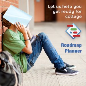 guide for college students roadmap planner
