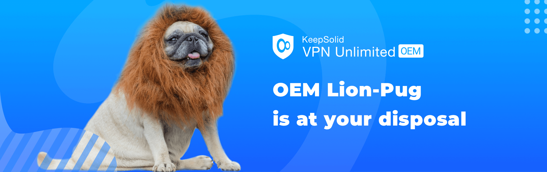 Funny face of OEM pug dog with lion costume.