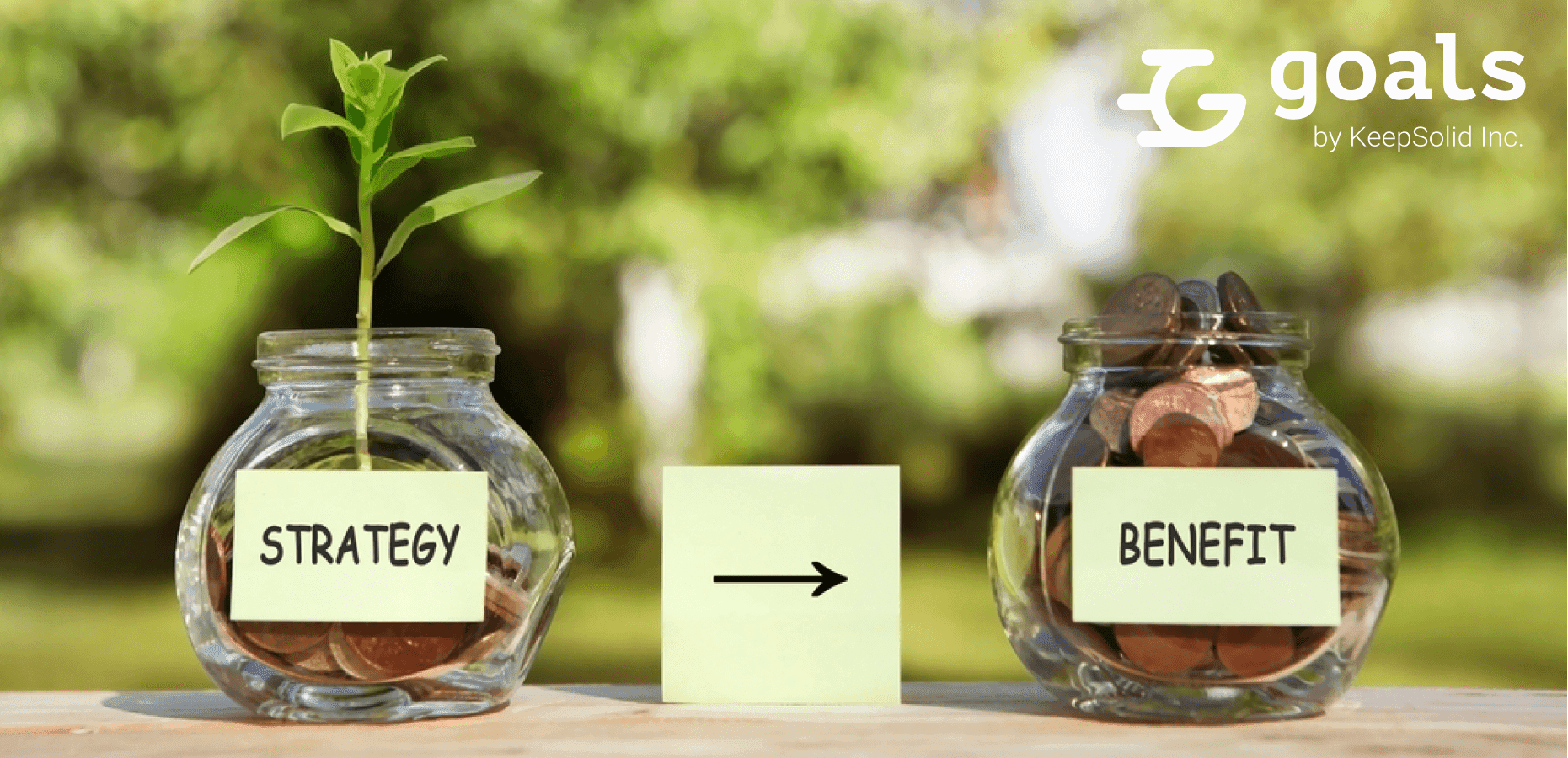 Strategy, benefit - sticker on a glass jars, with coins and a plant in one of them. Strategy and finance concept.