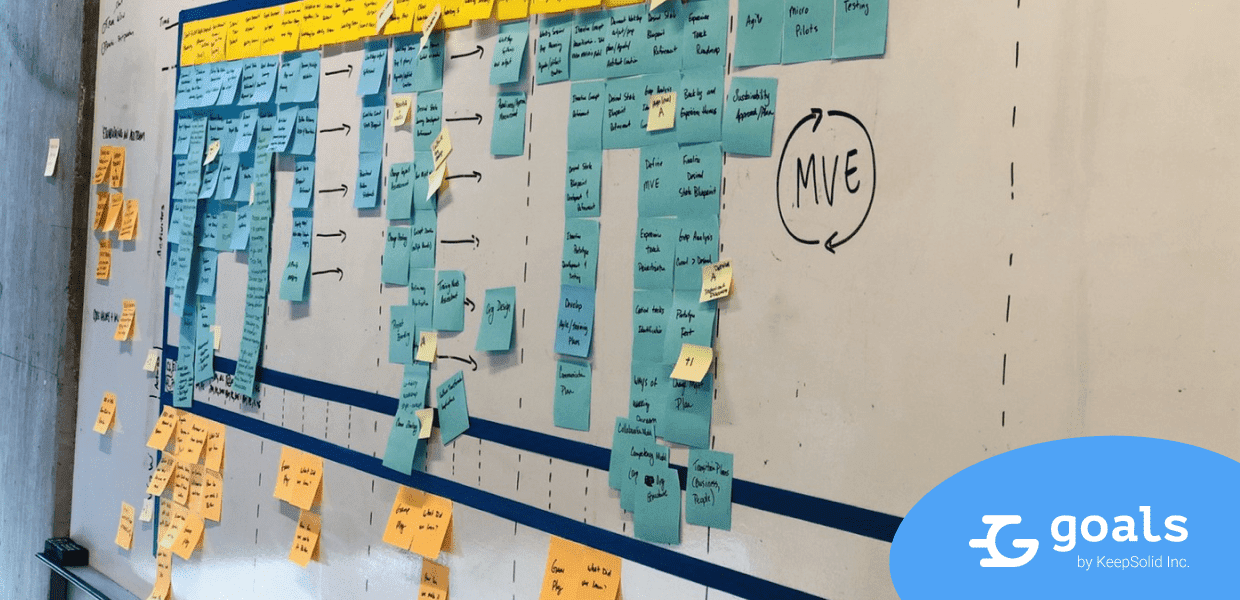 Learn the definition of Minimum Viable Experience