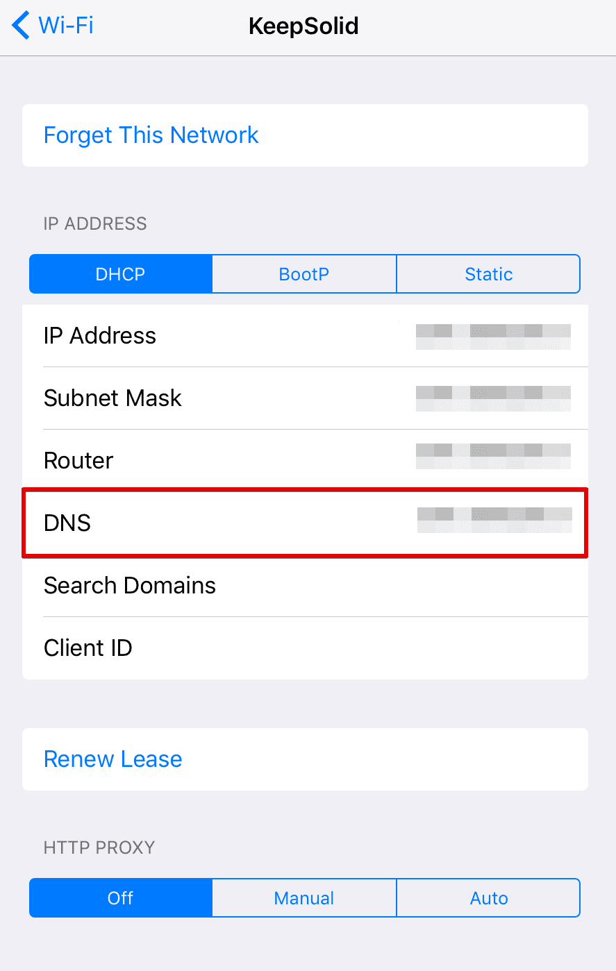 Smart DNS configuration on iOS 11