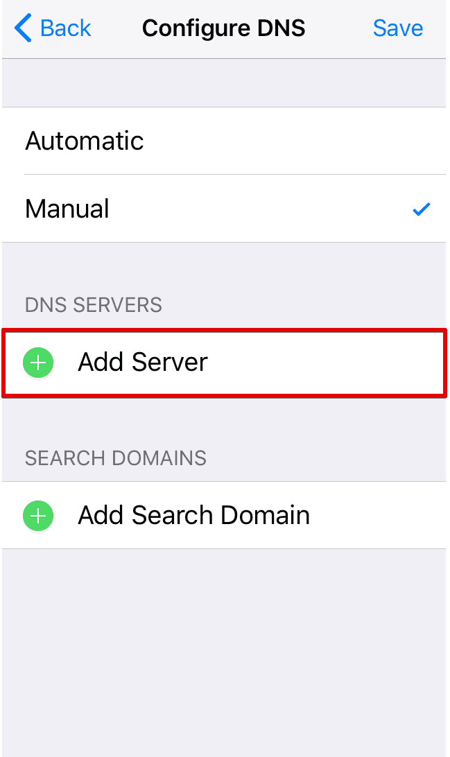 Configure DNS services on iPhone